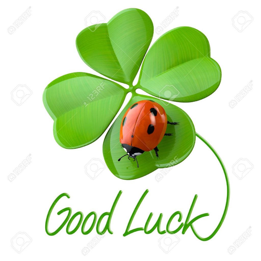 Good Luck - the road to success! - Tovoy Solutions